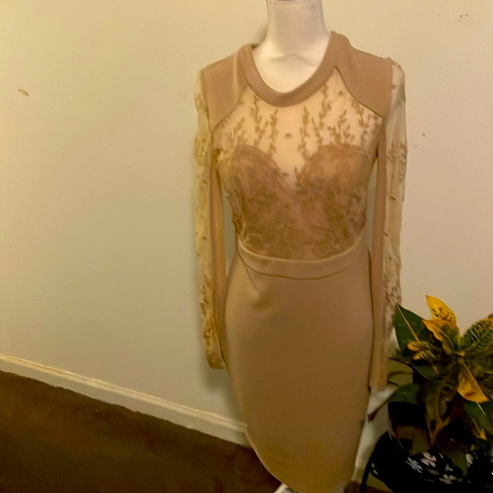 Elegant Beige Sheer Lace Long-Sleeve Midi Dress